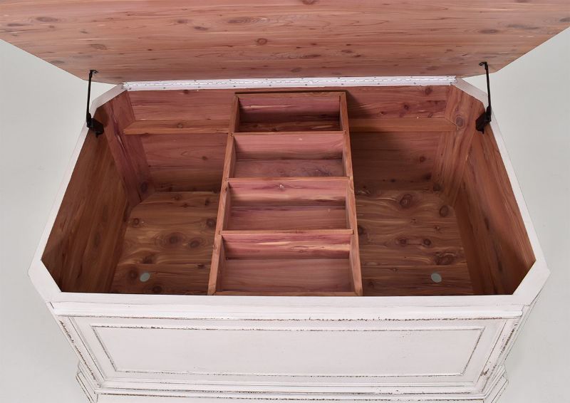 Overhead View of the Interior of the Magnolia Manor Storage Trunk | Home Furniture Plus Bedding