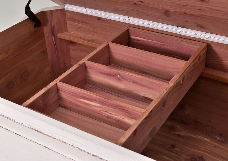 Close Up View of the Interior of the Magnolia Manor Storage Trunk | Home Furniture Plus Bedding