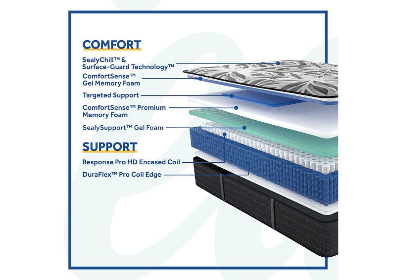 Cutaway Layers of the Sealy Posturepedic Plus Exuberant Firm Mattress | Home Furniture Plus Bedding