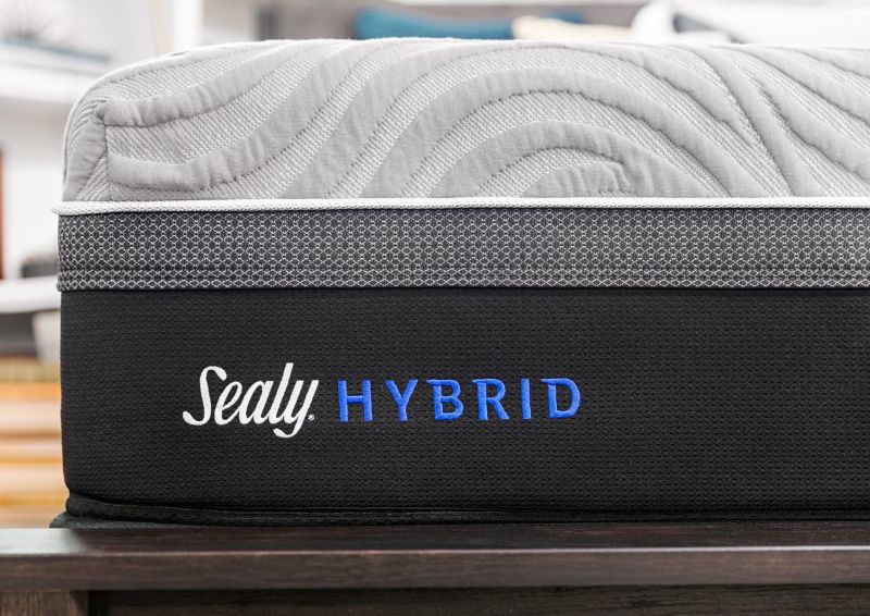 Close Up of the Sealy Hybrid Logo on the Full Size | Home Furniture Plus Bedding