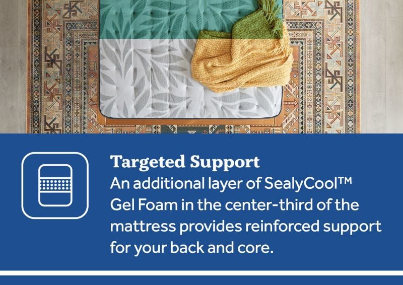 Information about the Targeted Support & Gel Foam of the Sealy Summer Rose Plush Mattress in Full | Home Furniture Plus Bedding