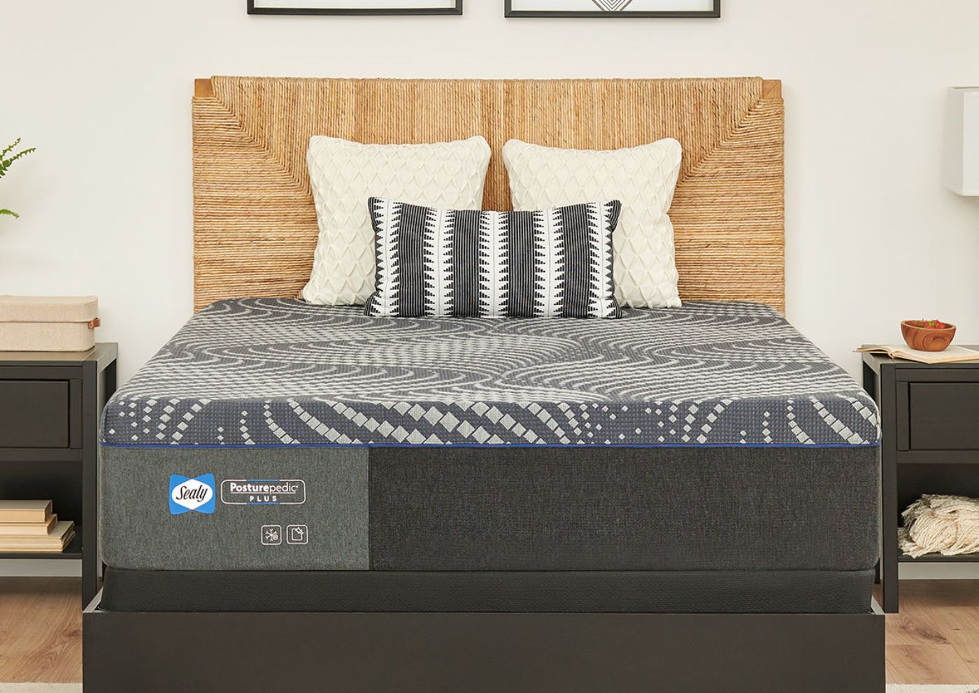 Room View of the Sealy Albany Plush Mattress | Home Furniture Plus Bedding