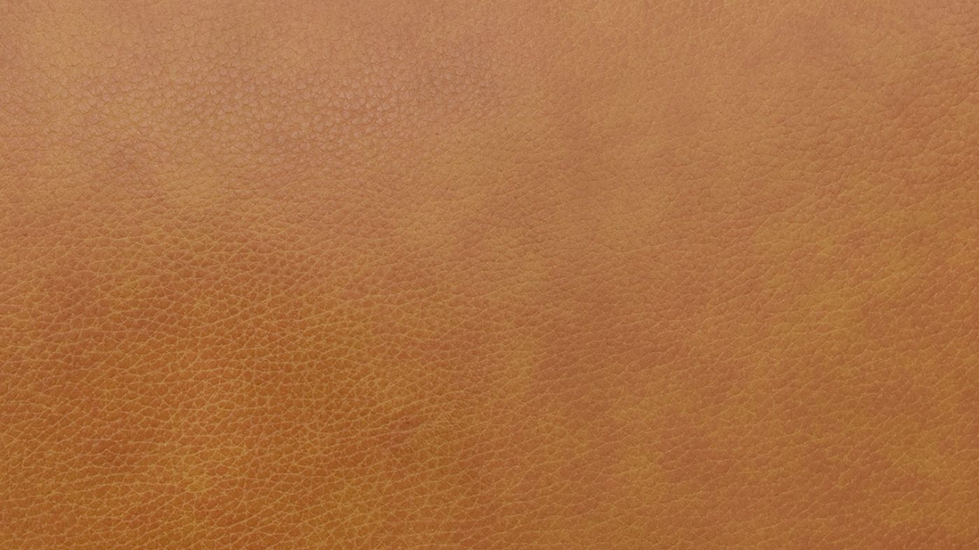 Picture of Newport Leather Loveseat - Camel