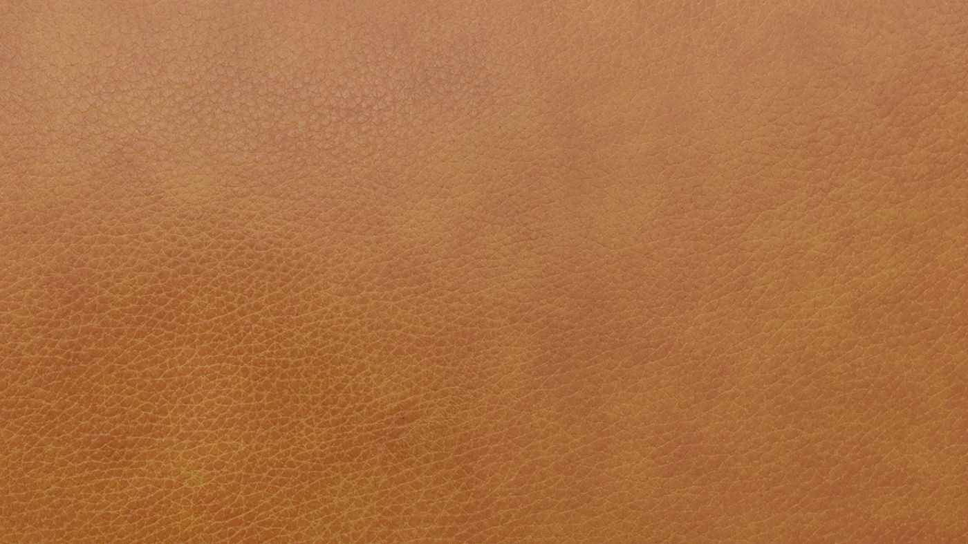 Picture of Newport Leather Sofa - Camel