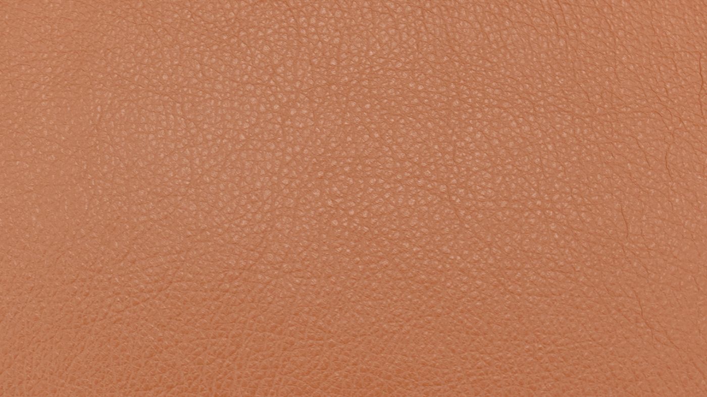 Picture of Churchill Recliner - Camel