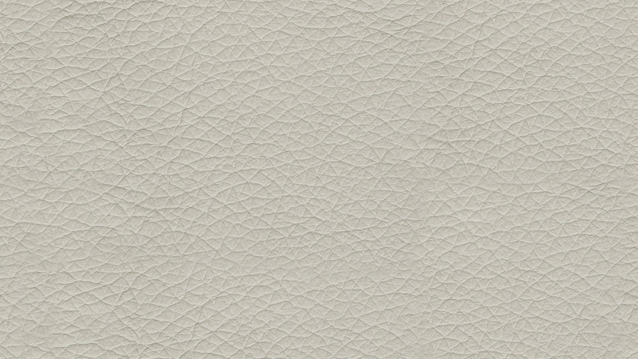 white leather couch texture