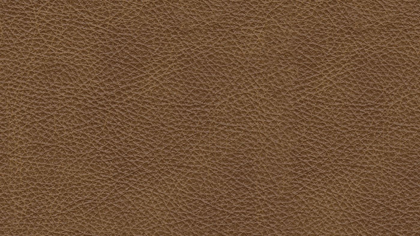 Picture of Emilia Leather Sectional - Brown