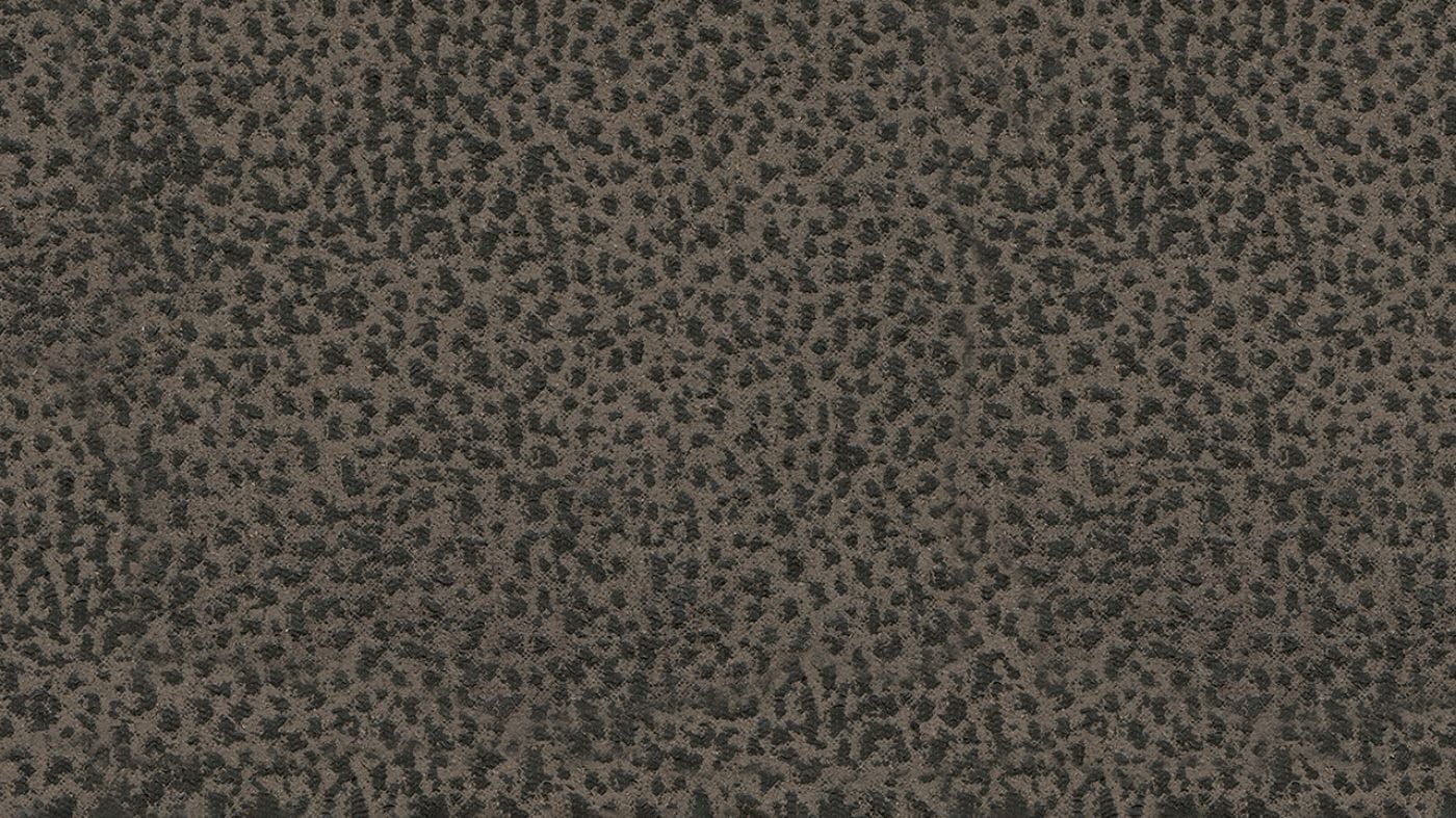 Picture of Camera Time Recliner