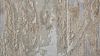 Picture of Laina Large Rug - Beige & Gray