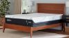 Picture of Adapt Medium Hybrid - Twin XL