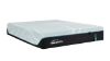 Picture of Pro Adapt Medium - Twin XL
