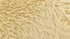 Picture of Crow Swivel Chair - Camel