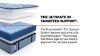 Picture of Dupont II Firm - Twin XL