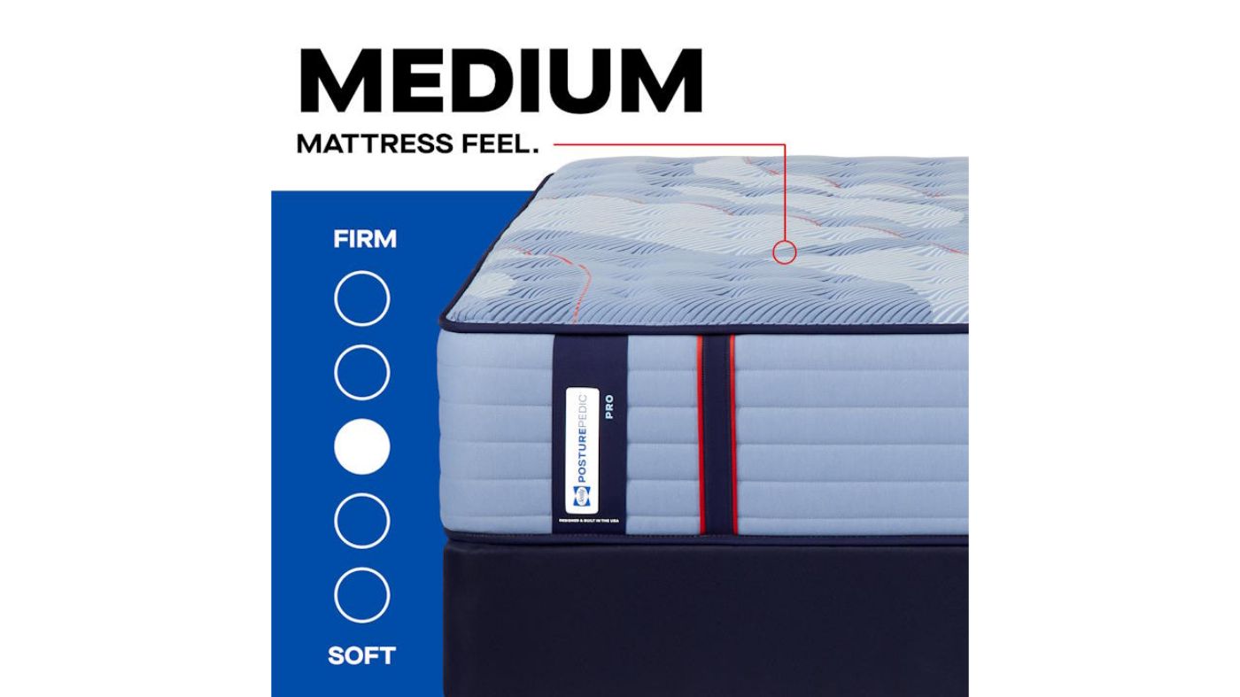 Picture of Dupont II Medium - Queen