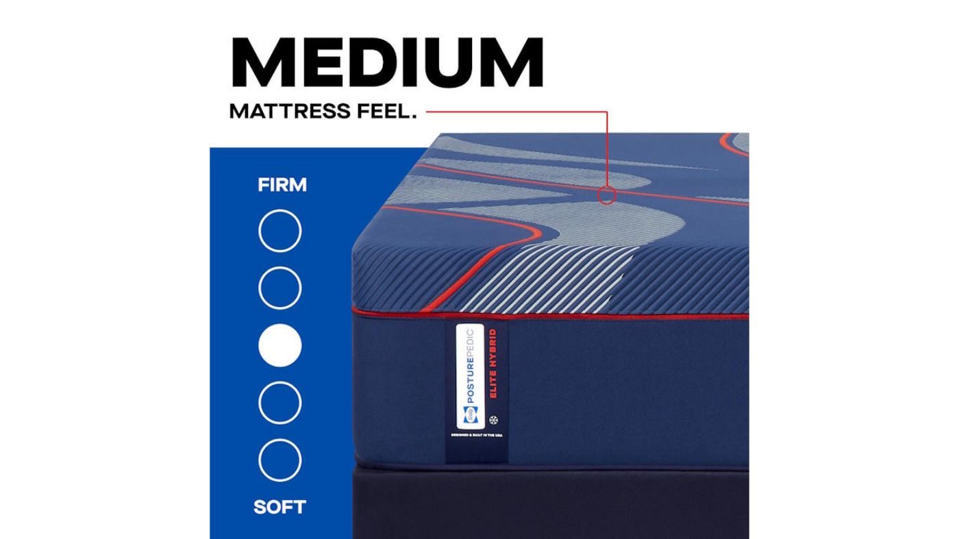 Picture of Albany II Hybrid Medium - Twin XL