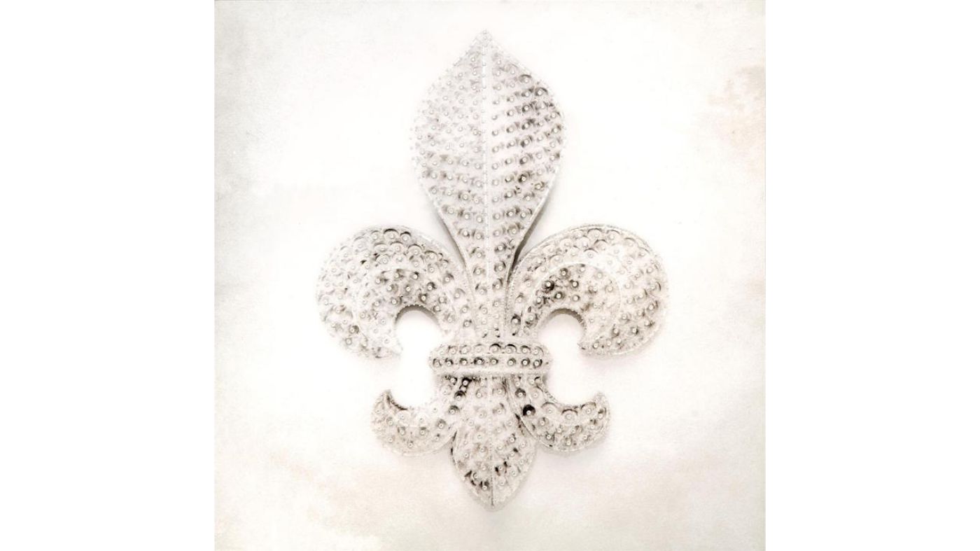 Picture of Fleur In Gems Wall Art