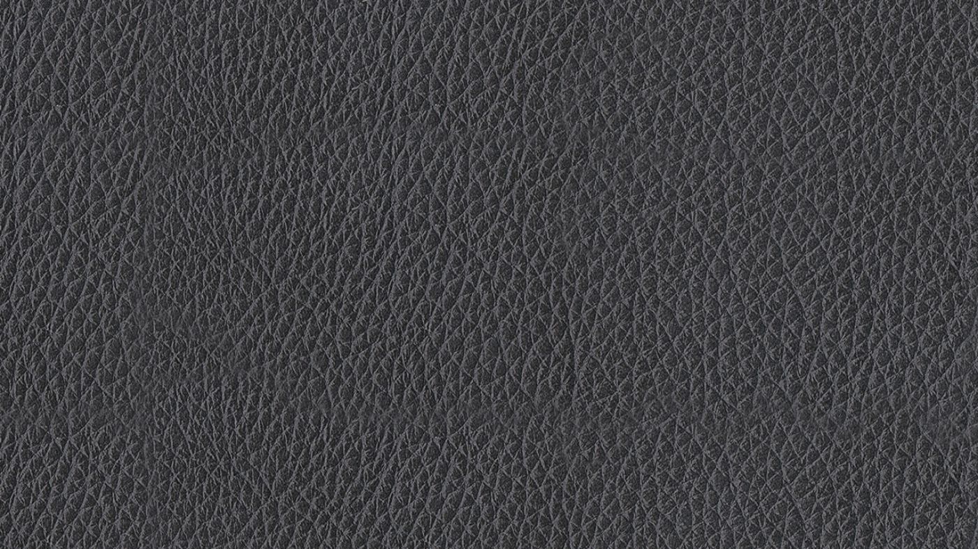 Picture of Bolsena Leather Sleeper Sofa - Gray