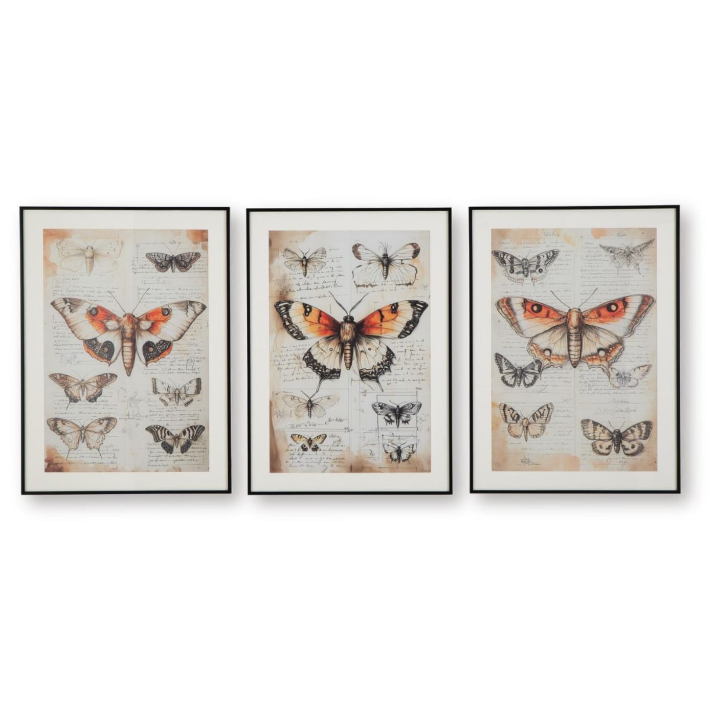 Picture of Jossletts Wall Art (set Of 3)